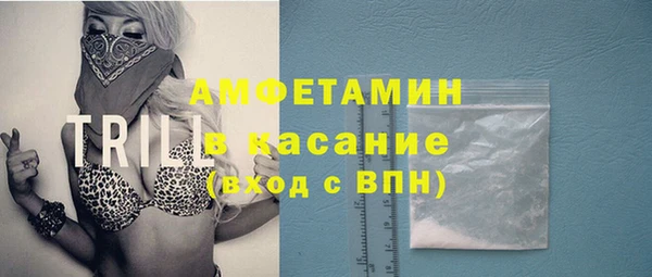 сатива Богородск