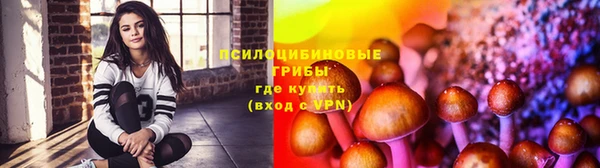 метадон Богданович