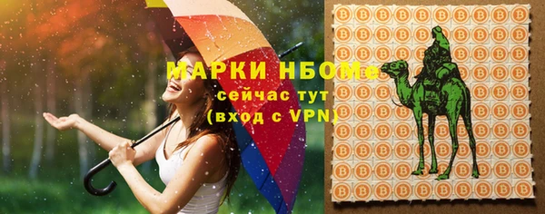 сатива Богородск