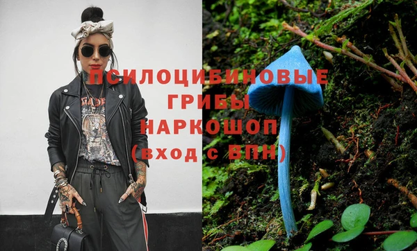 молекула духа Михайловка