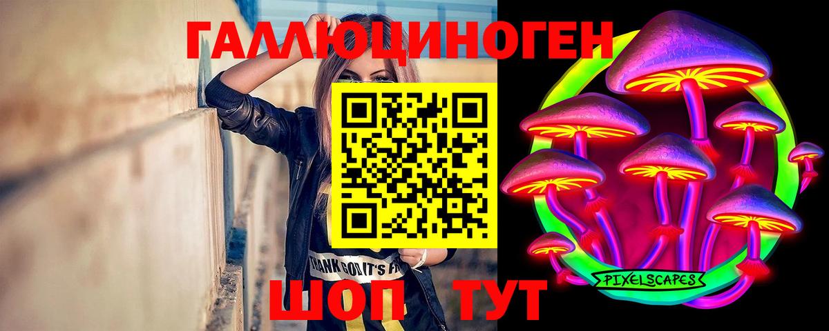 Галлюциногенные грибы Magic Shrooms  Вход с VPN  Прохладный 