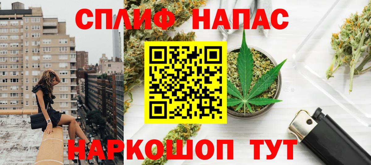 Конопля Amnesia  Прохладный  Шишки марихуана конопля  Каннабис SATIVA & INDICA  Марихуана семена 